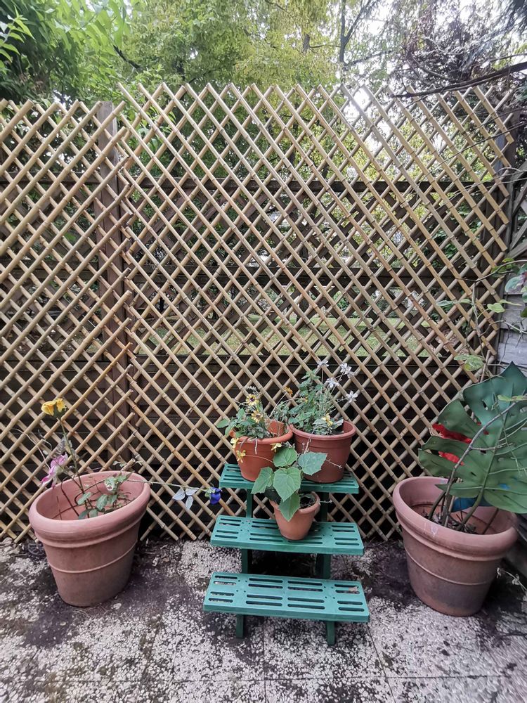 Outdoor decorative accessories - BAMBOO MESH, TRELLIS, NATURAL SEPARATION - Ref: TM - BAMBOULAND
