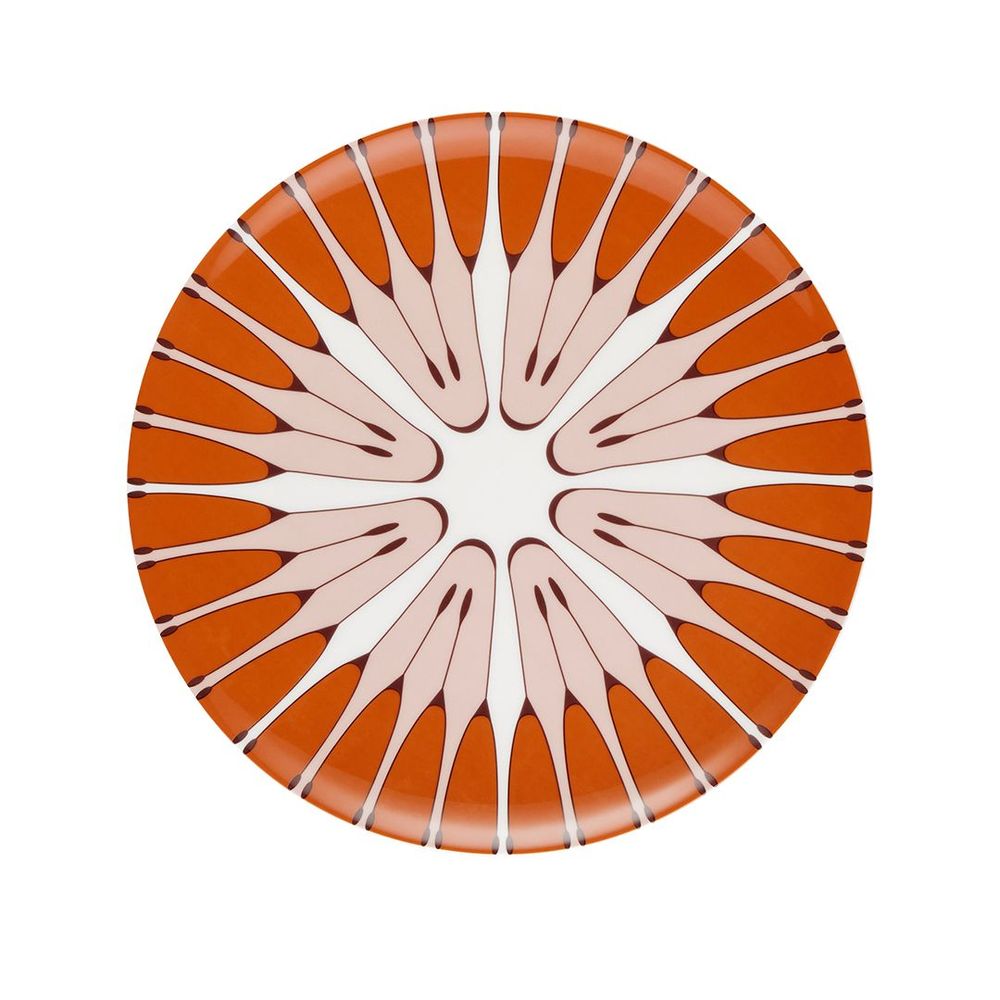 Everyday plates - Assiette Rose des vents - CFOC