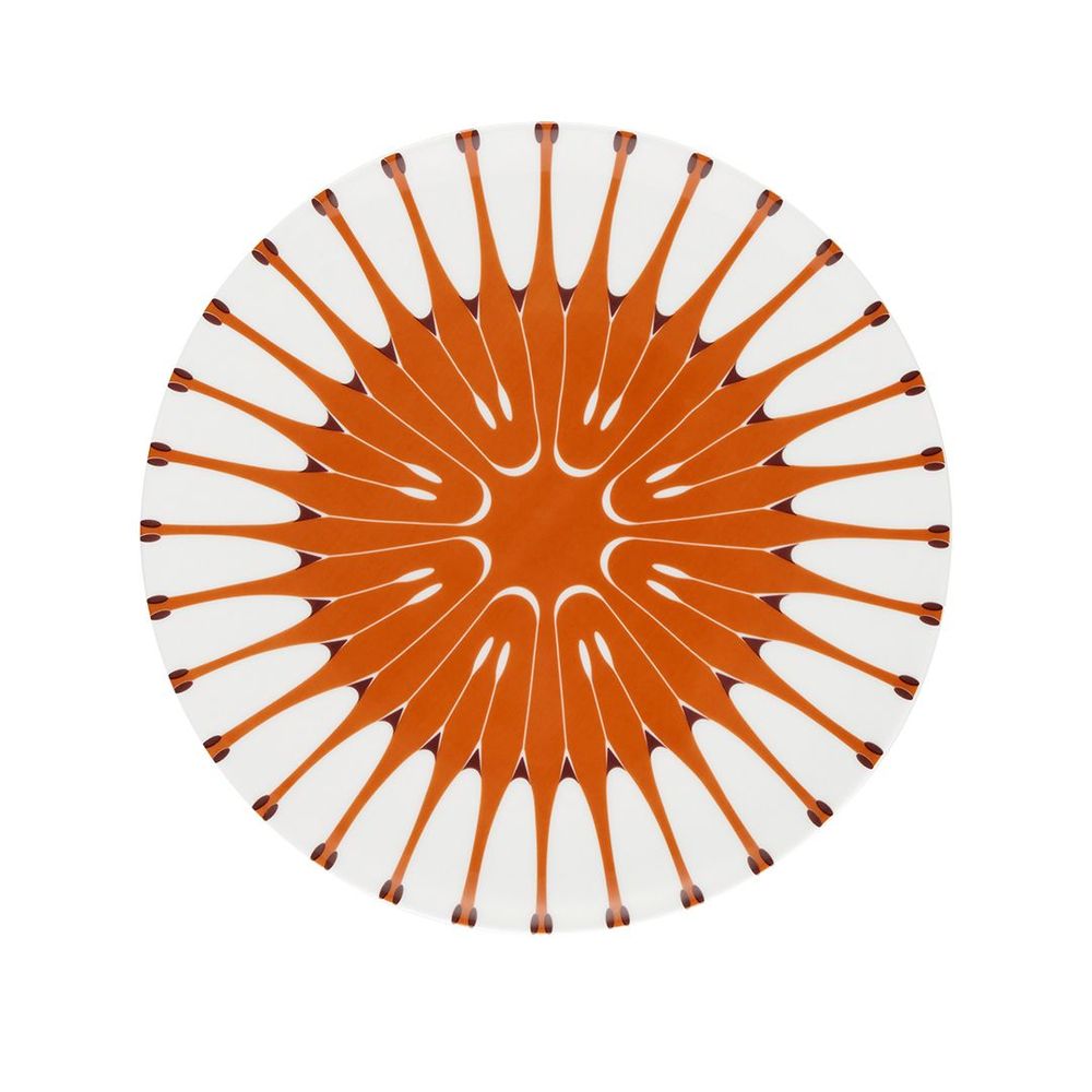 Everyday plates - Assiette Rose des vents - CFOC