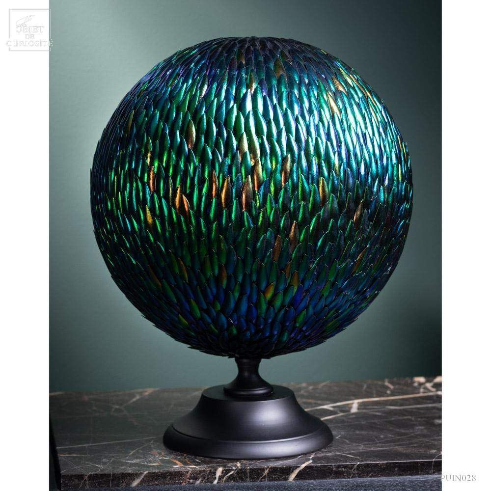 Decorative objects - Our insect collection - OBJET DE CURIOSITÉ