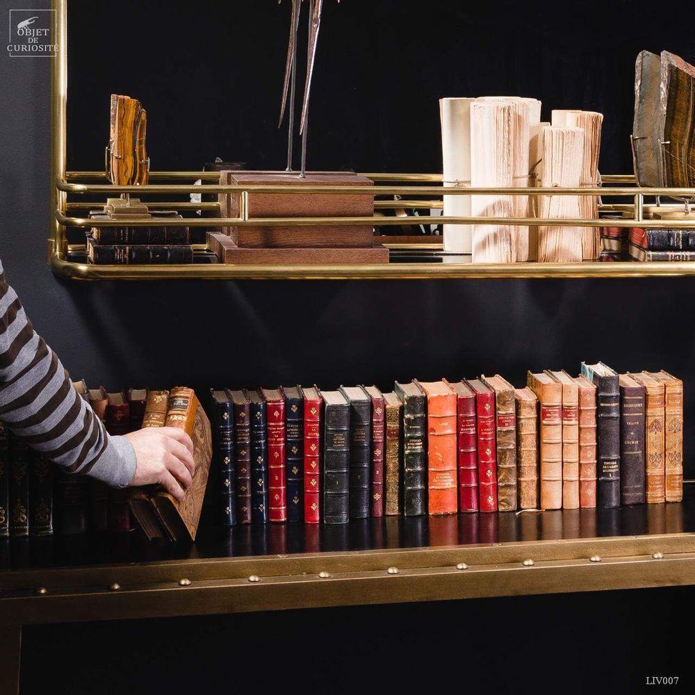 Decorative objects - Our book collection - OBJET DE CURIOSITÉ