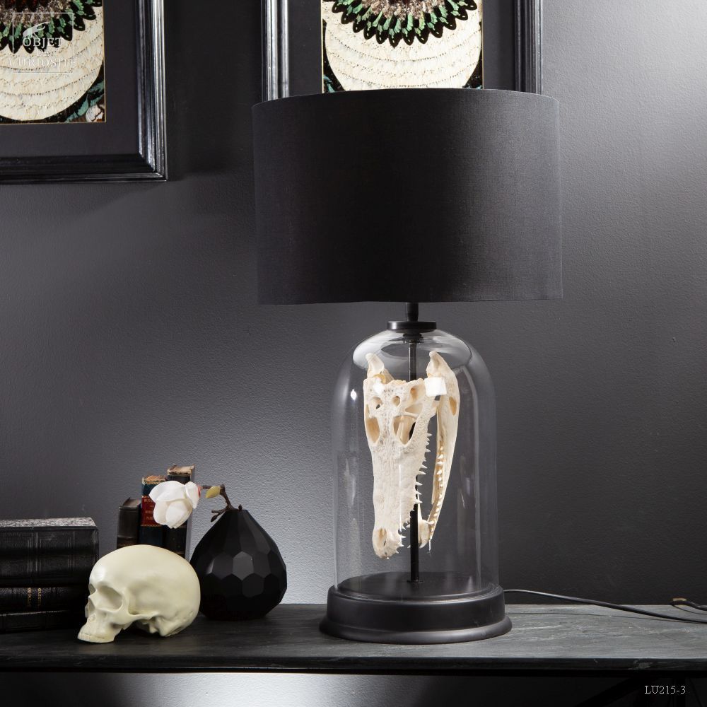 Table lamps - Our collection of lamps - OBJET DE CURIOSITÉ