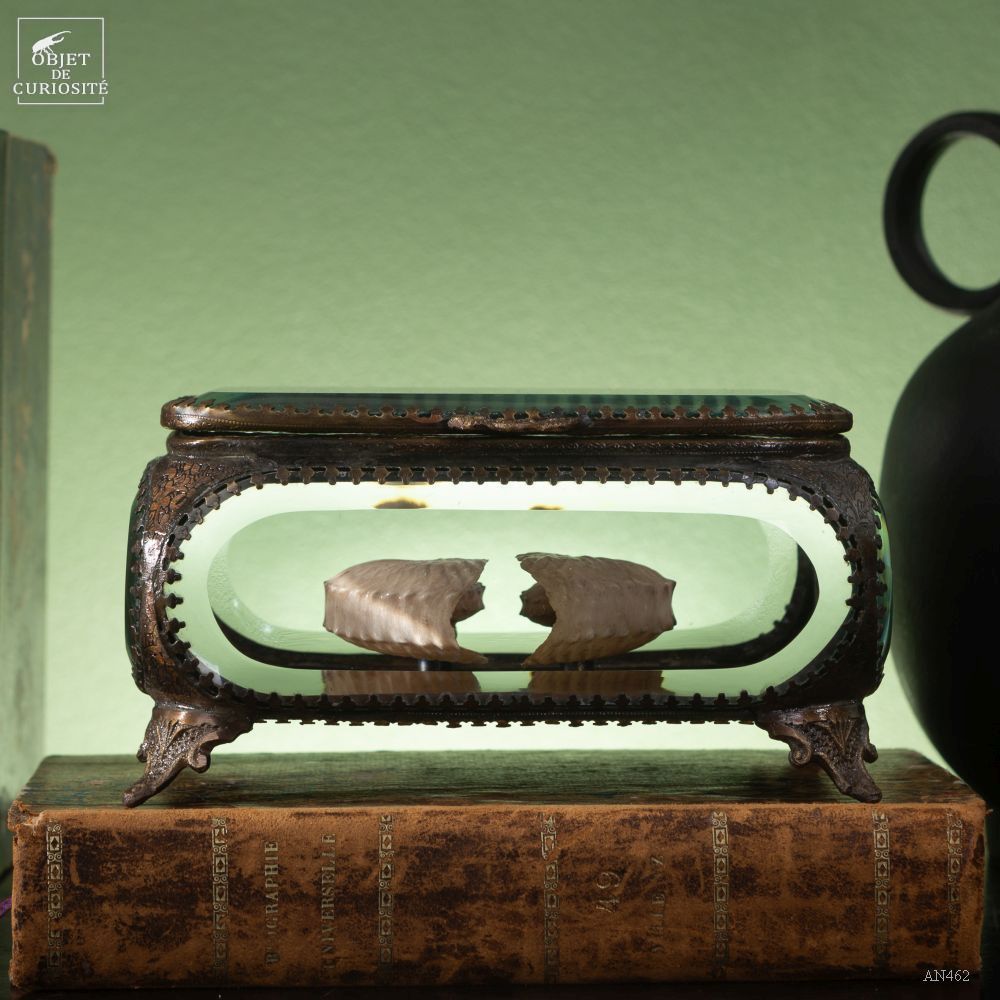 Decorative objects - Rainbow crystal box - OBJET DE CURIOSITÉ