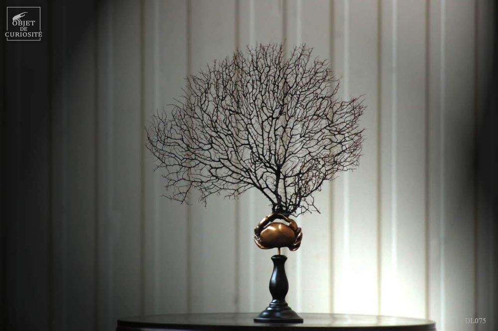 Objets de décoration - Notre collection de gorgones. - OBJET DE CURIOSITÉ