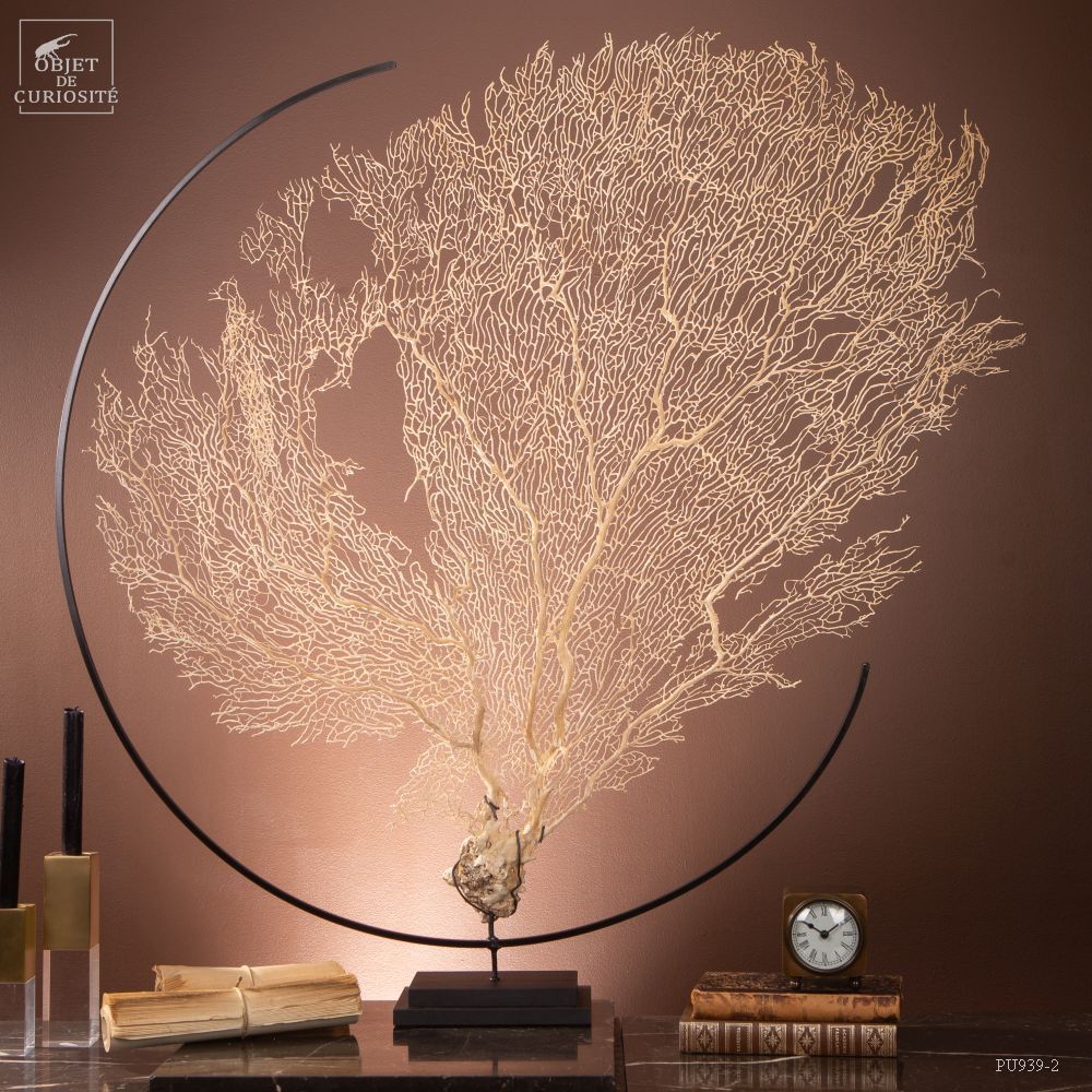 Objets de décoration - Notre collection de gorgones. - OBJET DE CURIOSITÉ
