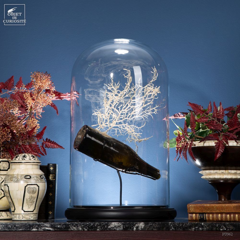 Objets de décoration - Notre collection de gorgones. - OBJET DE CURIOSITÉ