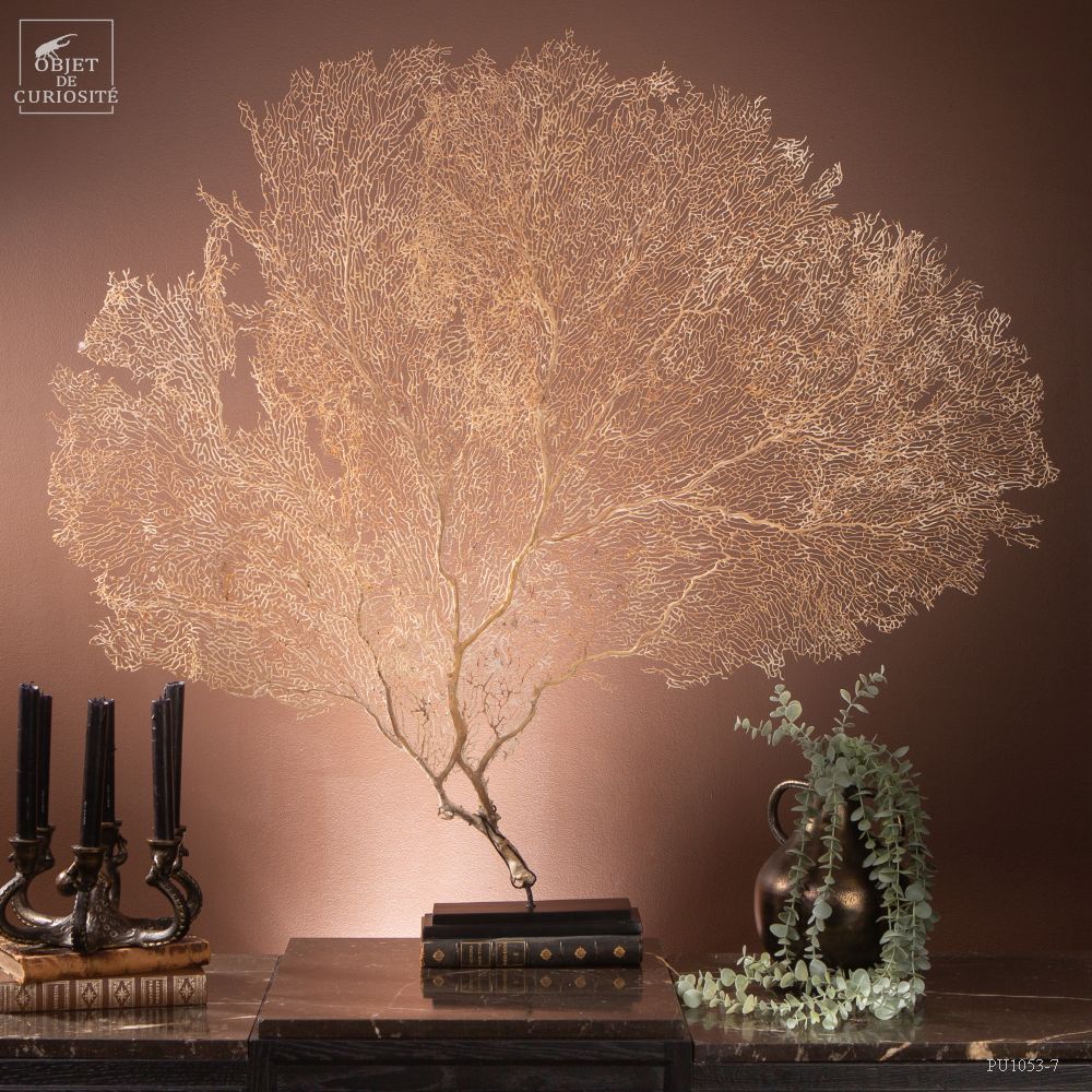 Objets de décoration - Notre collection de gorgones. - OBJET DE CURIOSITÉ