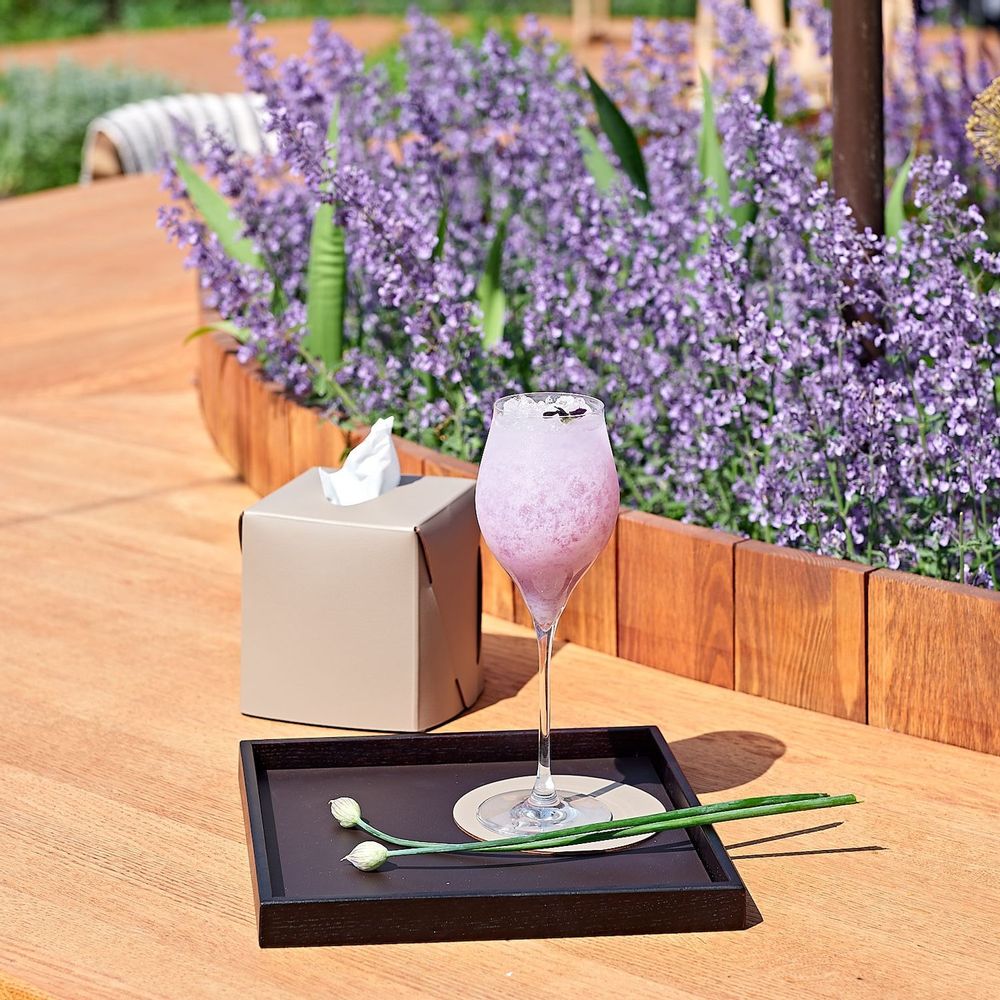 Ustensiles de cuisine - MONDO TRAY - ADJ STYLE