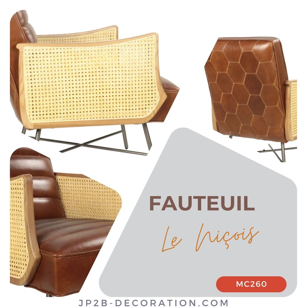 Autres fournitures bureau - Collection de Fauteuils en Cuir et Cannage Vintage - JP2B DECORATION