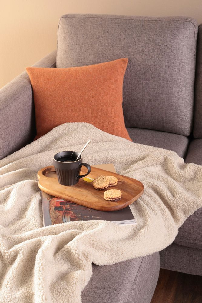 Throw blankets - Teddy blanket - BIEDERLACK