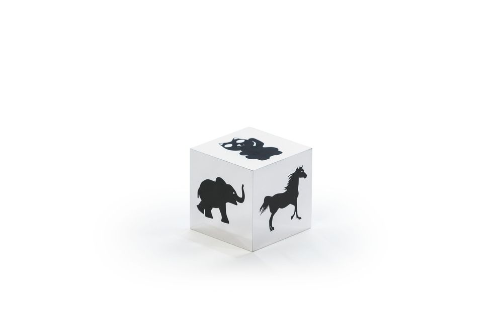 Decorative objects - TYCHE ACCESSORY - ALTREFORME