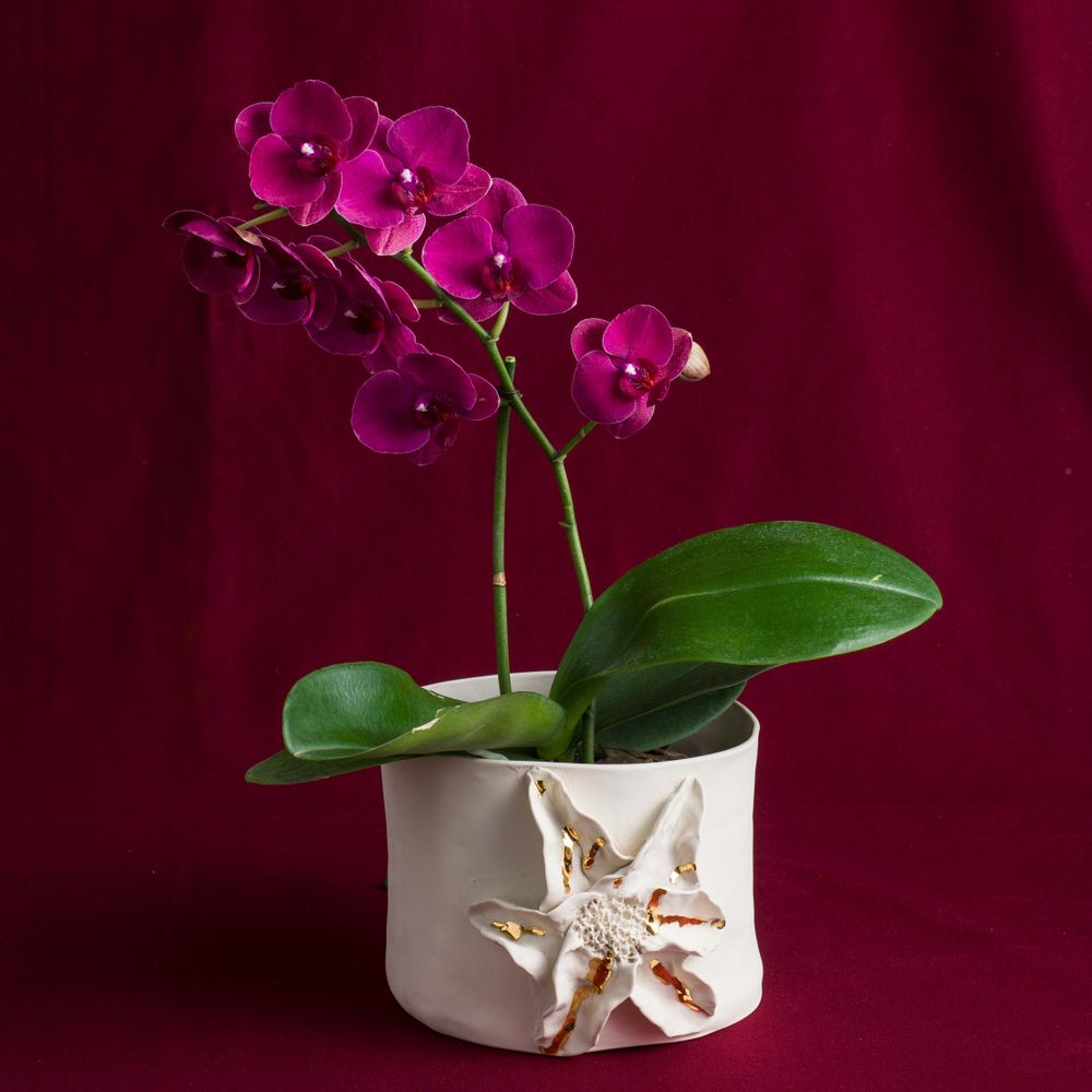 Vases - Orchid cachepot series vase in porcelain and gold - ATELIER LE MOTIF