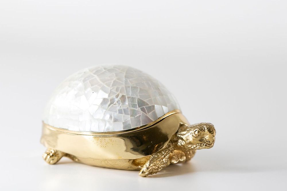 Caskets and boxes - Turtle box made of natural mother-of-pearl and recycled brass - WILD BY MOSAIC