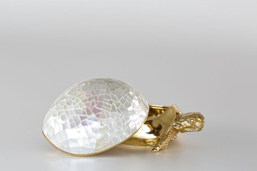 Caskets and boxes - Turtle box made of natural mother-of-pearl and recycled brass - WILD BY MOSAIC