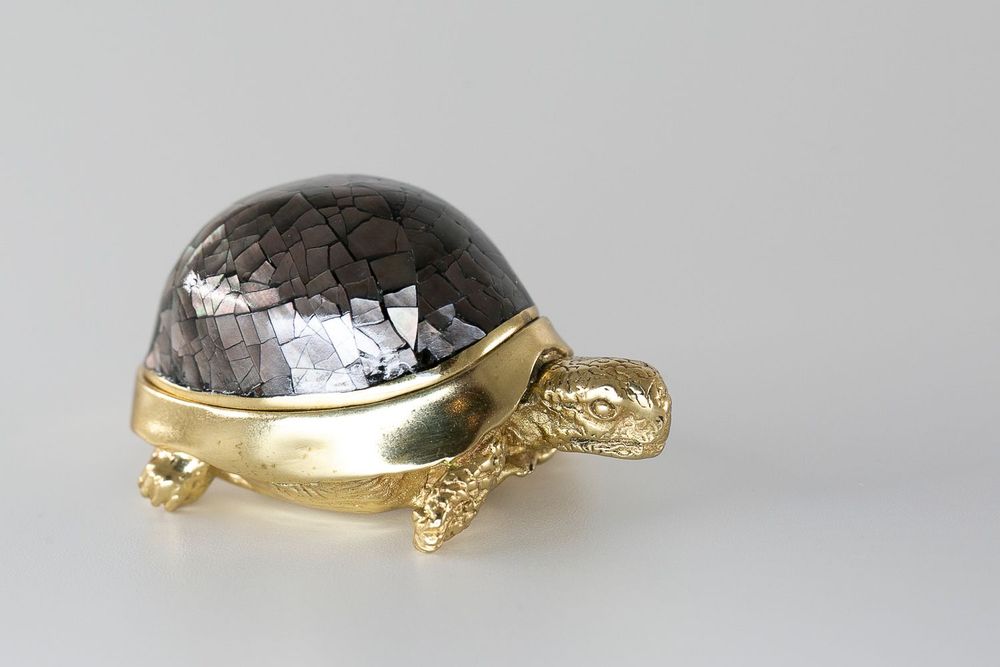 Caskets and boxes - Turtle box made of natural mother-of-pearl and recycled brass - WILD BY MOSAIC