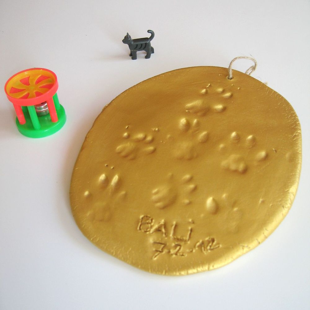 Other wall decoration - HANDMADE ANIMAL KIT: their imprint on the earth! - PATRICIA DORÉ