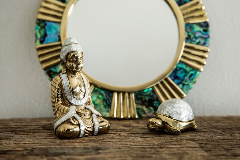 Caskets and boxes - Turtle box made of natural mother-of-pearl and recycled brass - WILD BY MOSAIC