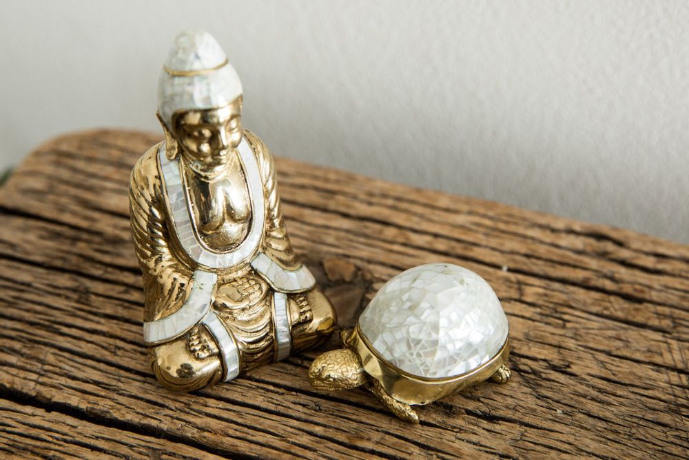 Caskets and boxes - Turtle box made of natural mother-of-pearl and recycled brass - WILD BY MOSAIC