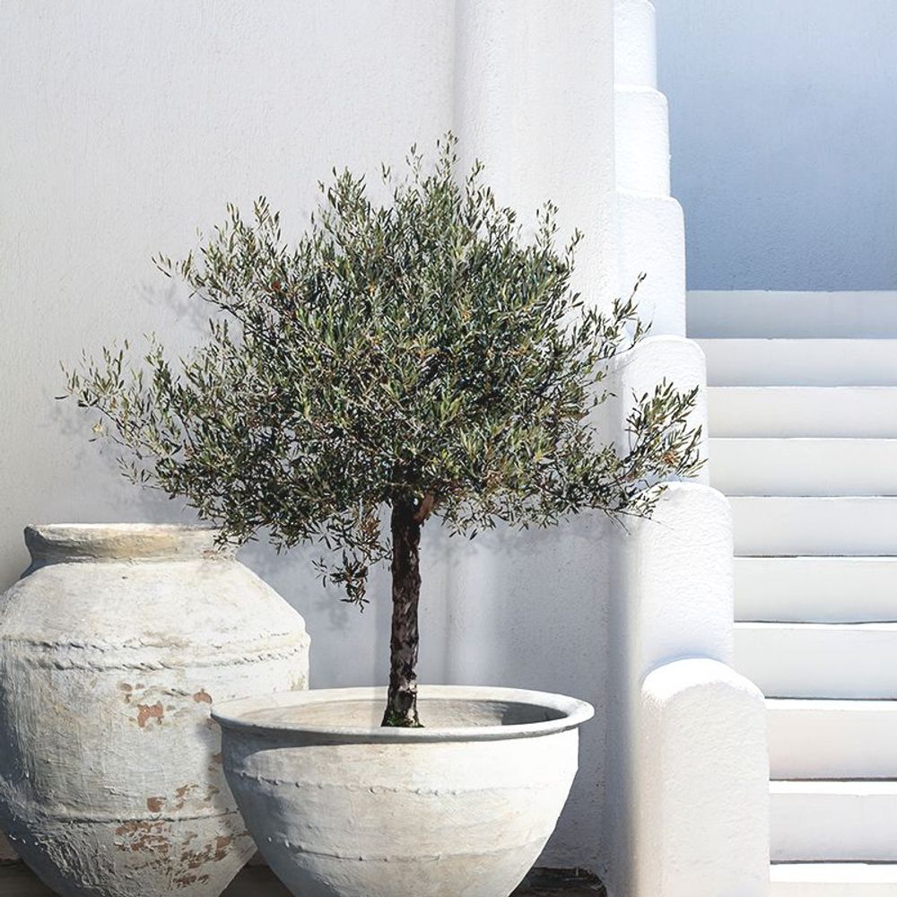 Accessoires de déco extérieure - Côté Jardin Côté Cour - ATELIERS C&S DAVOY
