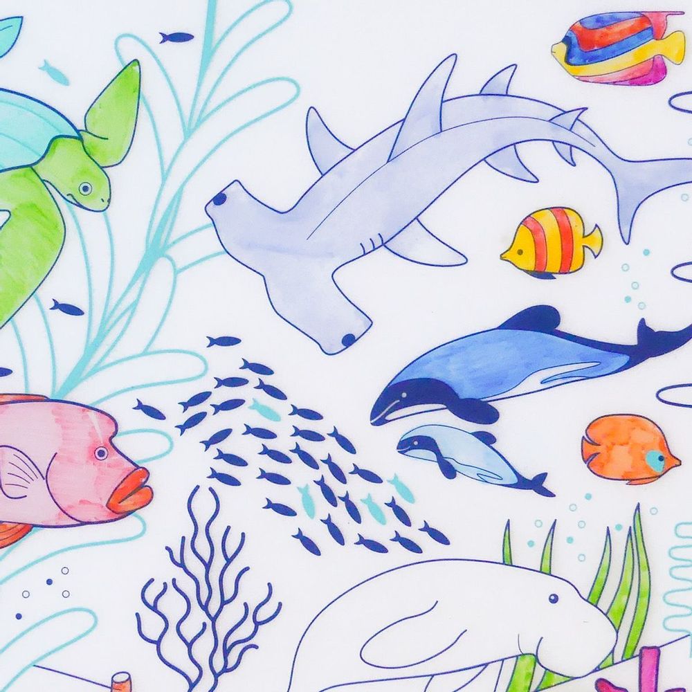 Children's arts and crafts - CORAL BARRIER: 1 silicone set + 5 markers + 1 bracelet. - SUPERPETIT