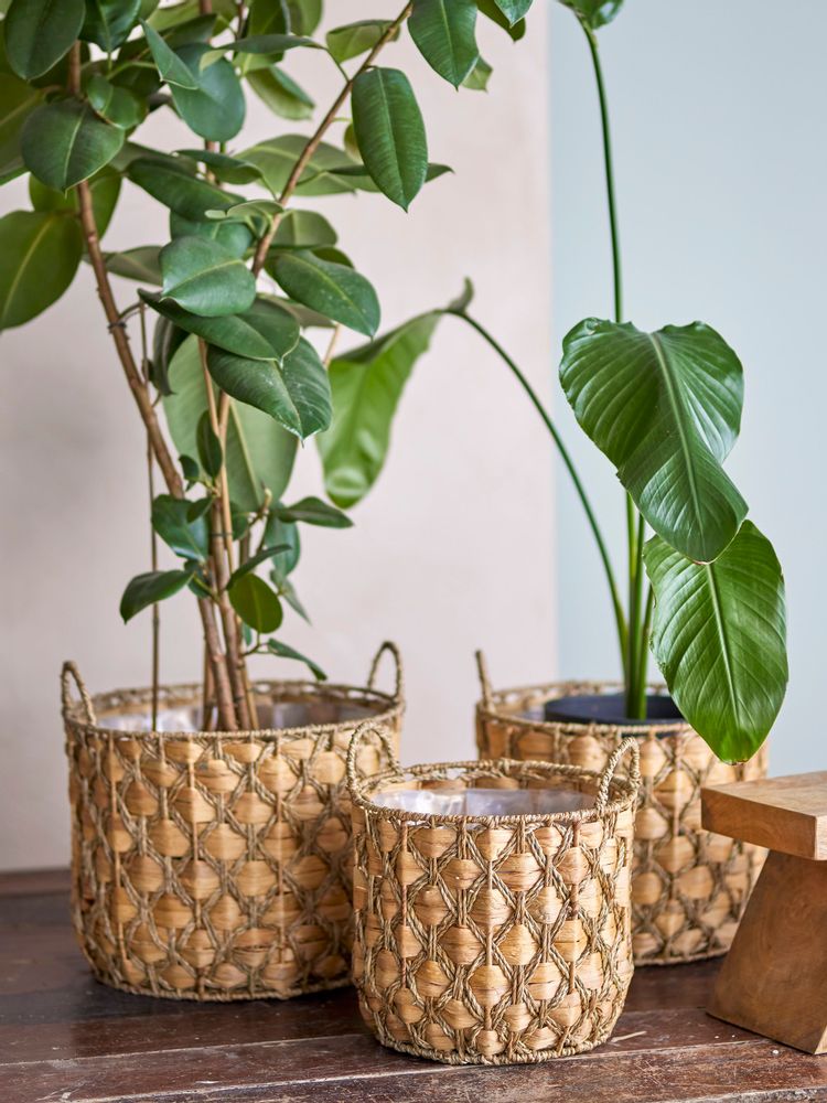 Paniers - Joleen Panier, Nature, Jacinthe d'eau Set of 3 - CREATIVE COLLECTION