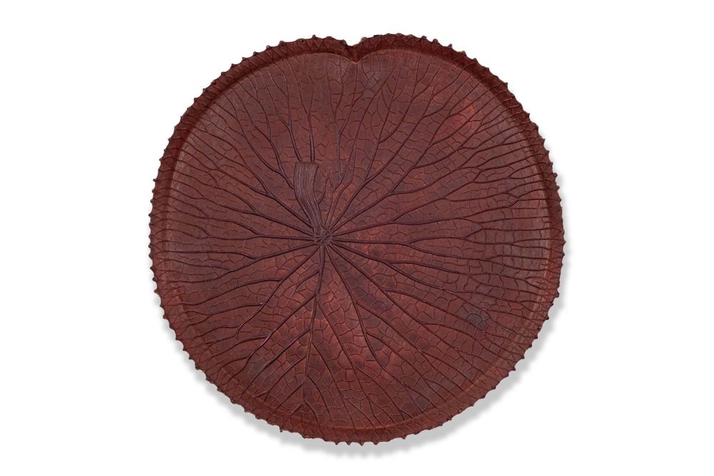 Trays - Plateau VITÓRIA RÉGIA Bord Feuille Amazonienne 100% caoutchouc naturel - SABIÁ DESIGN