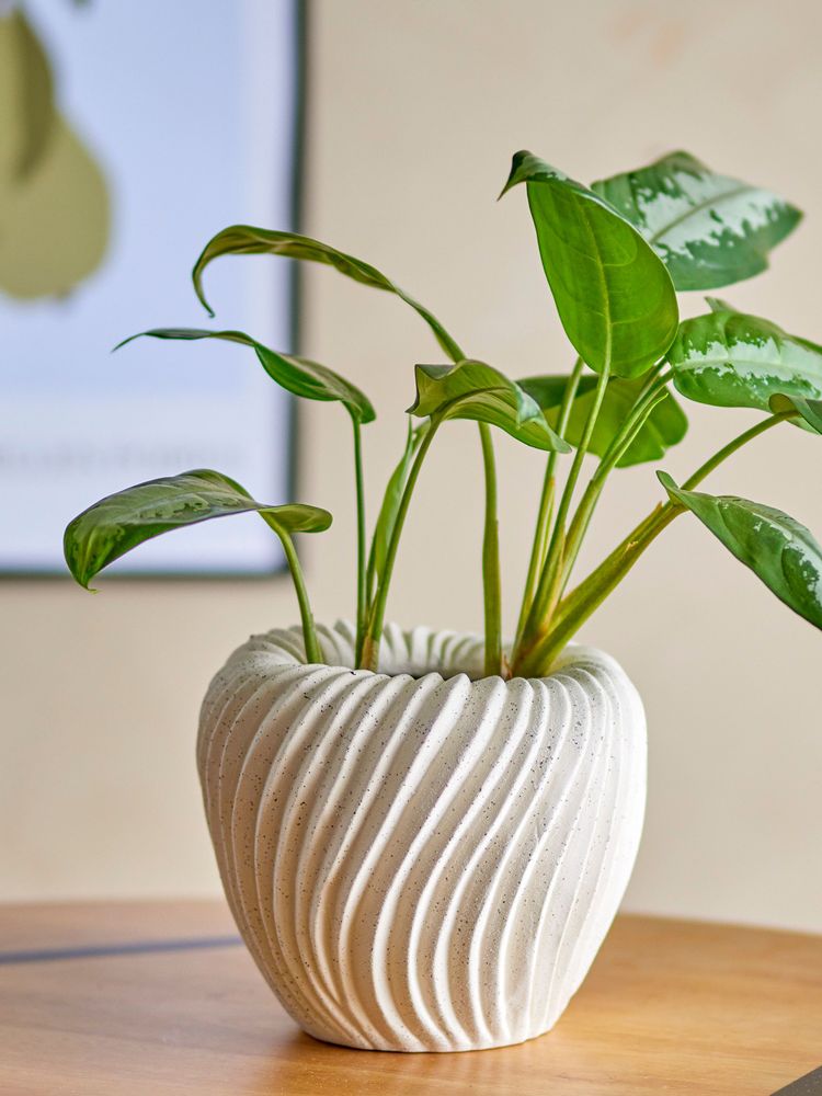 Flower pots - Maham Flowerpot, Nature, Stoneware - BLOOMINGVILLE MULTIBRAND HOUSE