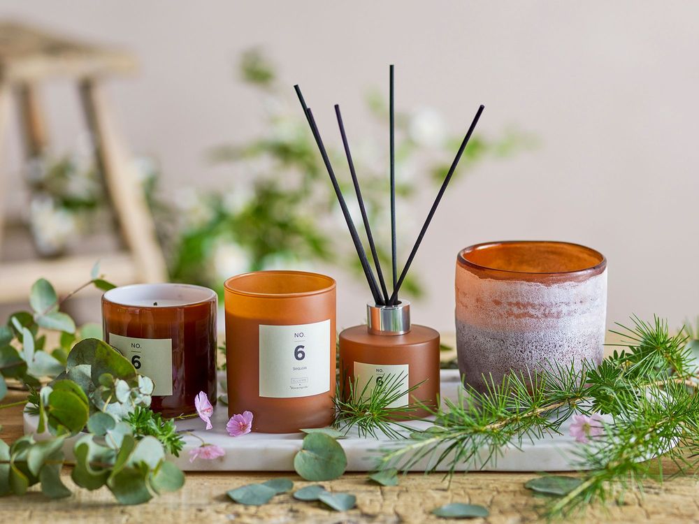 Bougies - NO. 6 - Sequoia Bougie parfumée, Marron, Cire naturelle  - ILLUME X BLOOMINGVILLE