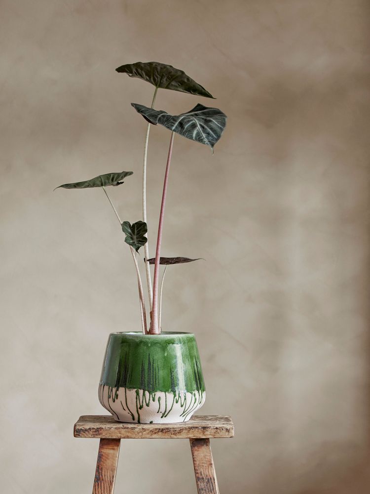 Flower pots - Moez Flowerpot, Green, Stoneware  - BLOOMINGVILLE MULTIBRAND HOUSE