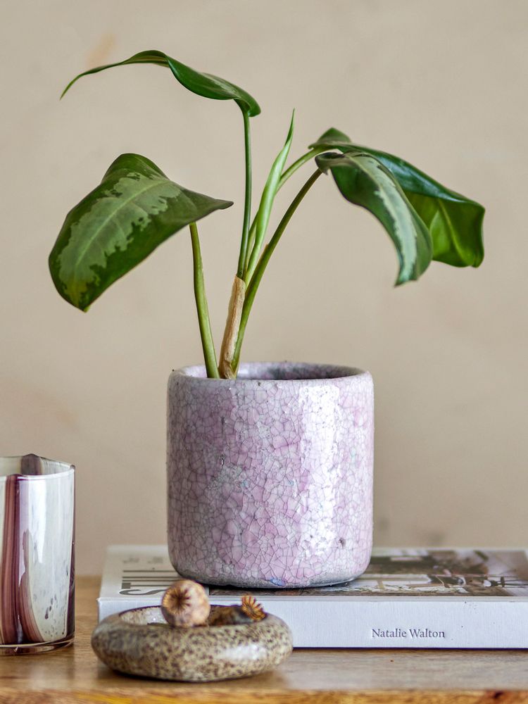 Pots de fleurs - Nili Pot de fleurs déco, Rose, Terre cuite - BLOOMINGVILLE MULTIBRAND HOUSE