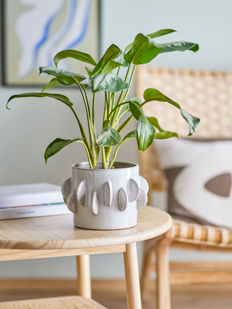 Flower pots - Roza Flowerpot, White, Stoneware - BLOOMINGVILLE MULTIBRAND HOUSE