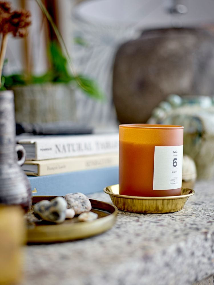 Candles - NO.6-Sequoia Scent Candle, Brown, Wax - ILLUME X BLOOMINGVILLE