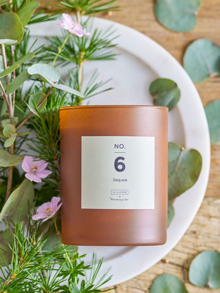 Candles - NO.6-Sequoia Scent Candle, Brown, Wax - ILLUME X BLOOMINGVILLE