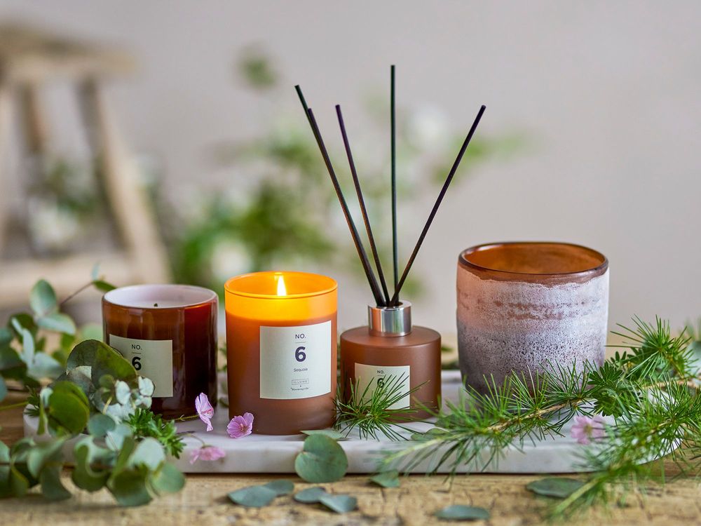 Candles - NO.6-Sequoia Scent Candle, Brown, Wax - ILLUME X BLOOMINGVILLE