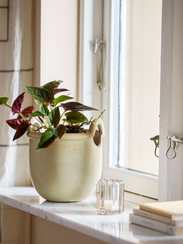 Flower pots - Janti Flowerpot, Nature, Stoneware - BLOOMINGVILLE