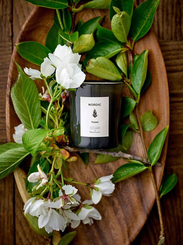 Candles - SEASONAL Scent Candle, Green, Natural Wax Set of 3 - ILLUME X BLOOMINGVILLE