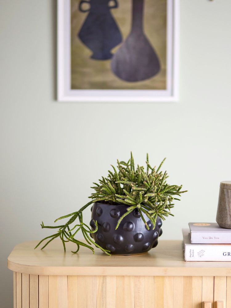 Flower pots - Parvin Deco Flowerpot, Black, Terracotta - BLOOMINGVILLE MULTIBRAND HOUSE