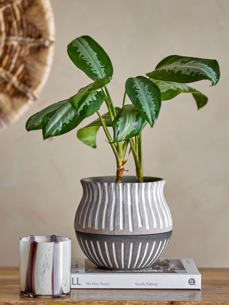 Pots de fleurs - Neliya Pot de fleurs pour support, Gris, Terre cuite - BLOOMINGVILLE MULTIBRAND HOUSE