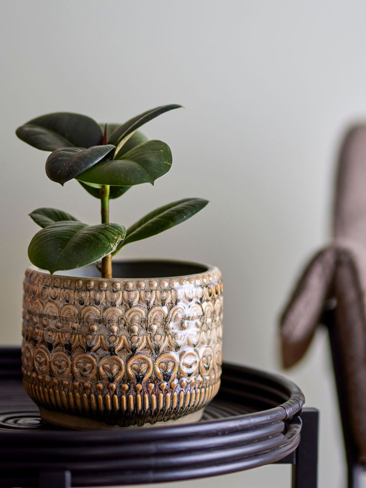 Flower pots - Jobran Flowerpot, Green, Stoneware - BLOOMINGVILLE MULTIBRAND HOUSE