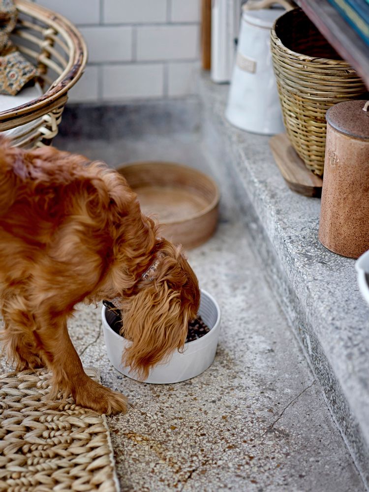 Accessoires animaux - Buddy Bol, Blanc, Grès - BLOOMINGVILLE MULTIBRAND HOUSE