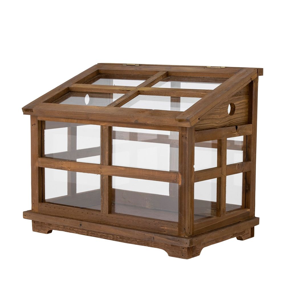 Boîtes de rangement - Marti Boîte dÉaffichage, Marron, Bois de sapin - BLOOMINGVILLE MULTIBRAND HOUSE
