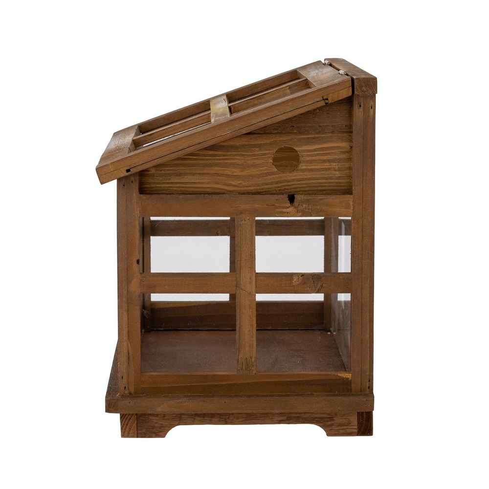 Boîtes de rangement - Marti Boîte dÉaffichage, Marron, Bois de sapin - BLOOMINGVILLE MULTIBRAND HOUSE