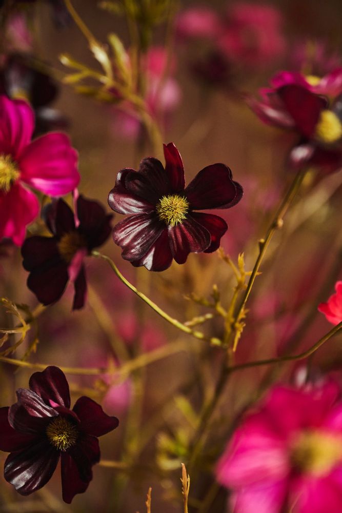 Décorations florales - Les chouchous de notre collection : Cosmos artificiel Real touch. - SILK-KA