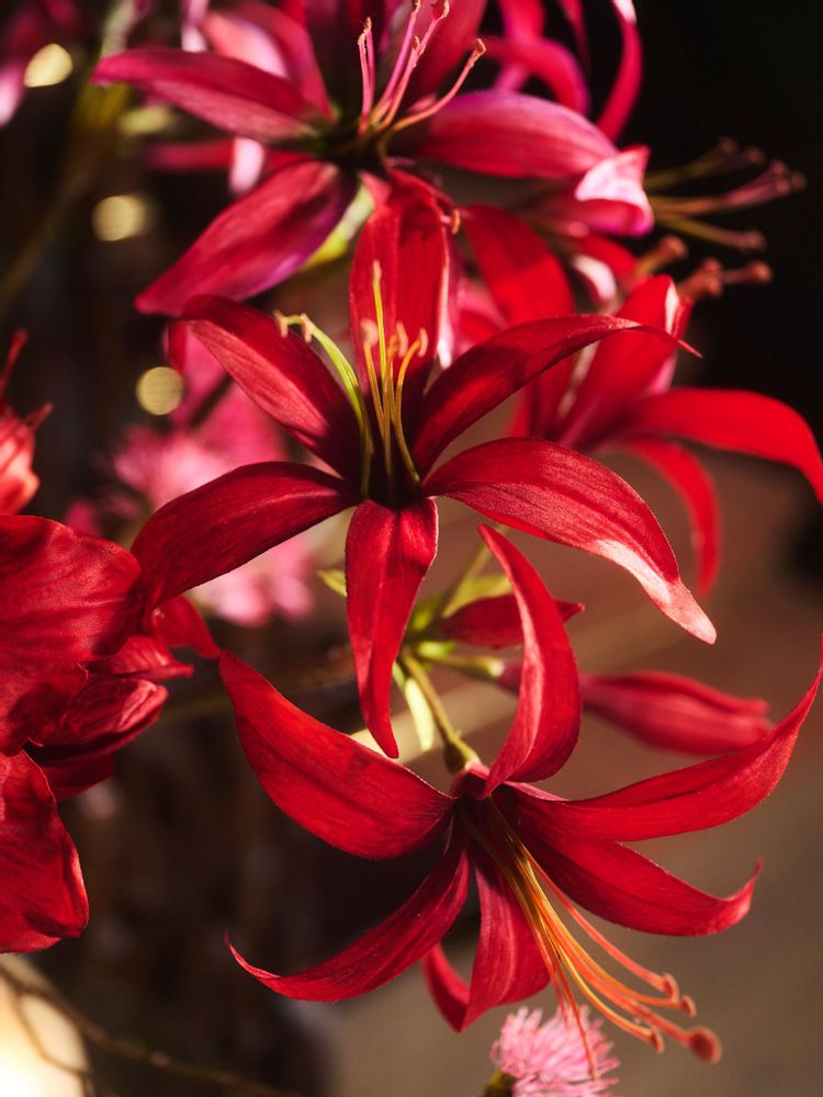 Floral decoration - Artificial Amaryllis - SILK-KA