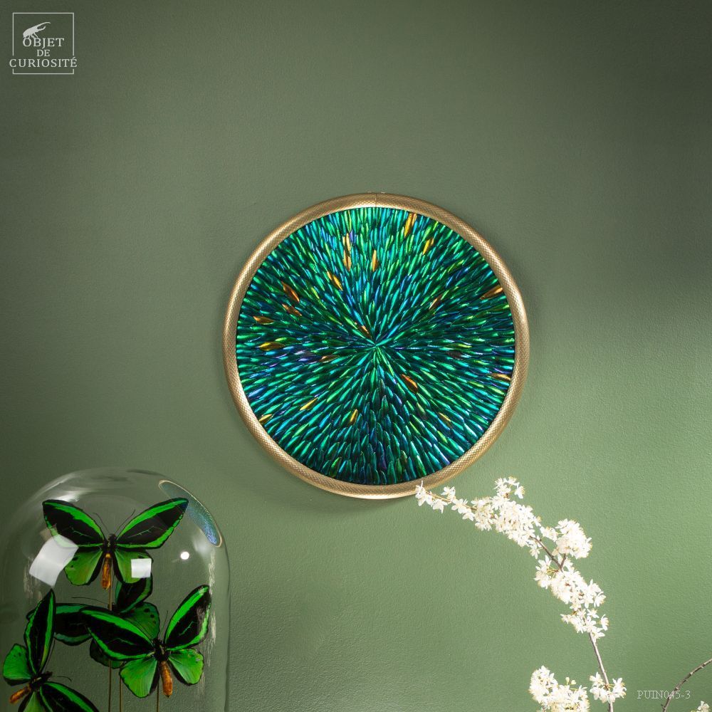 Paintings - Our collection of paintings - OBJET DE CURIOSITÉ