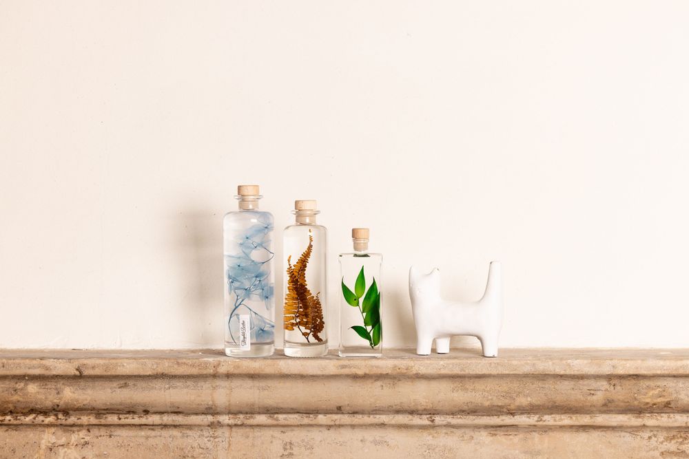 Decorative objects - L'Herbarium de Théophile — La trilogie - Plant immersed in a bott - THEOPHILE BERTHON