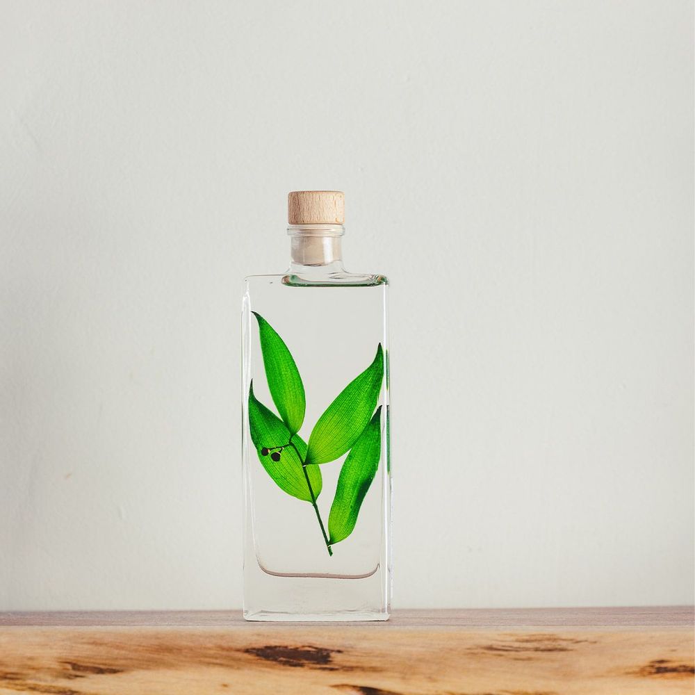 Decorative objects - L'Herbarium de Théophile — La trilogie - Plant immersed in a bott - THEOPHILE BERTHON