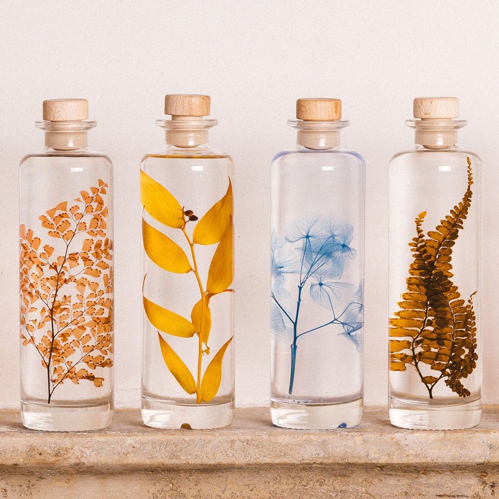 Decorative objects - L'Herbarium de Théophile — La trilogie - Plant immersed in a bott - THEOPHILE BERTHON