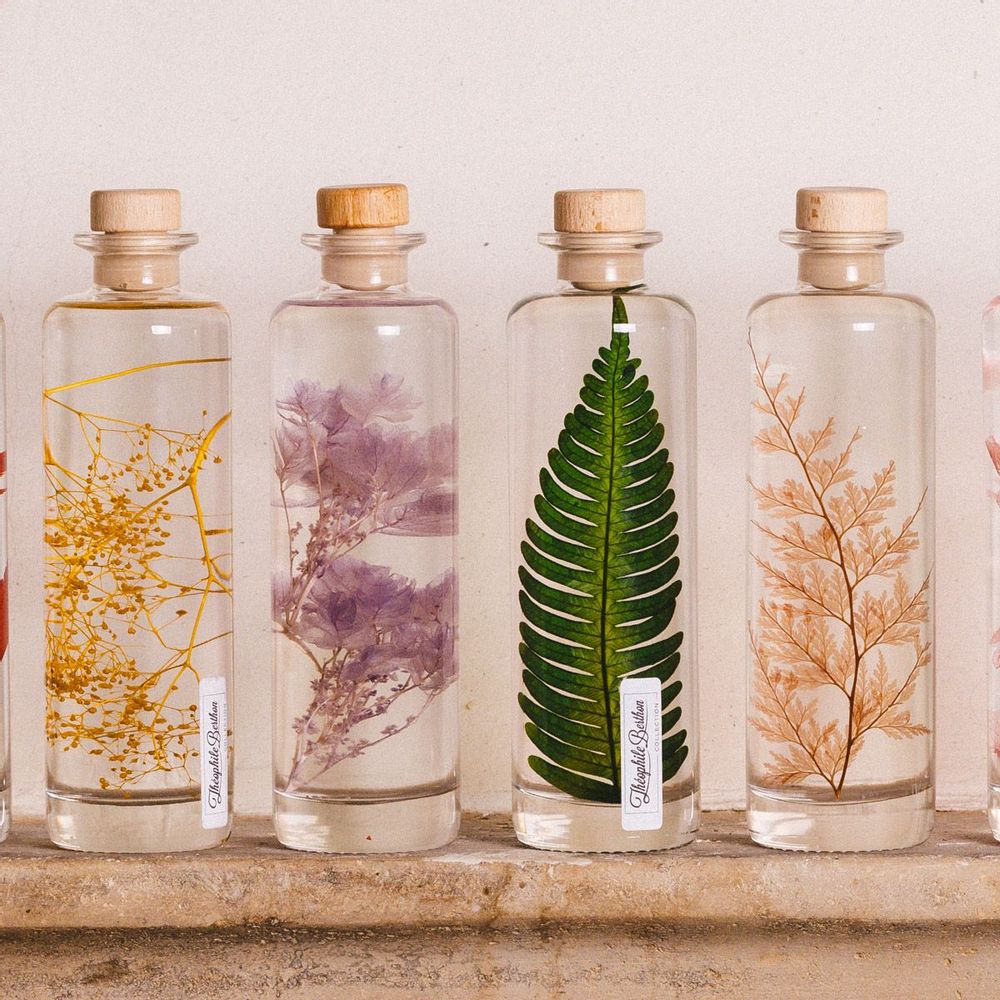 Decorative objects - L'Herbarium de Théophile — La trilogie - Plant immersed in a bott - THEOPHILE BERTHON