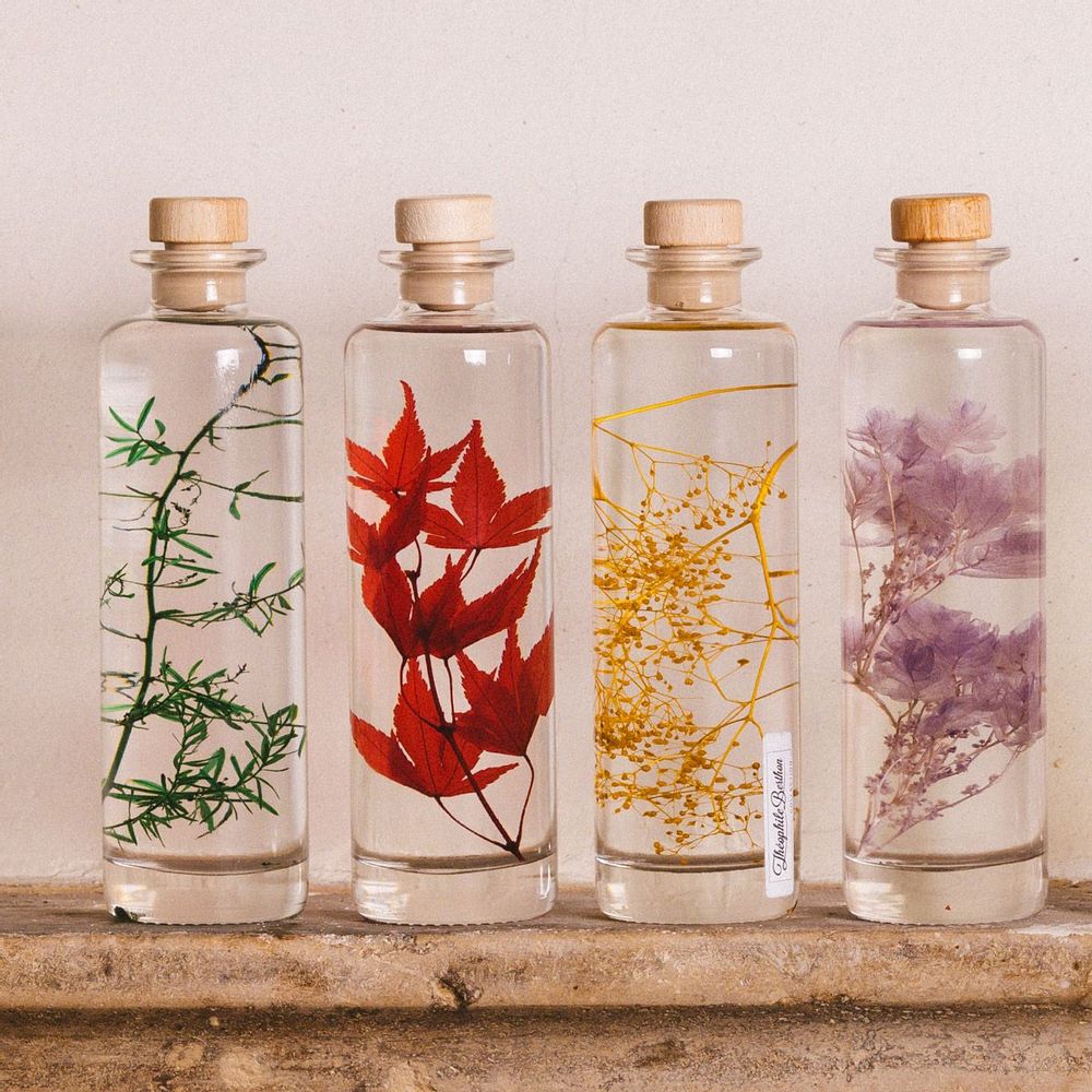 Decorative objects - L'Herbarium de Théophile — La trilogie - Plant immersed in a bott - THEOPHILE BERTHON